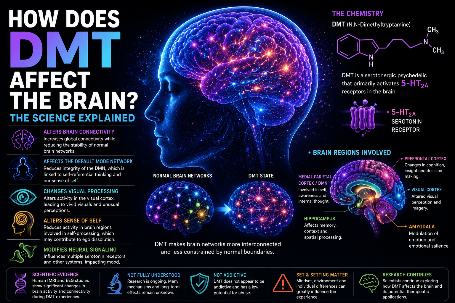 How Does DMT Affect the Brain? The Science Explained
